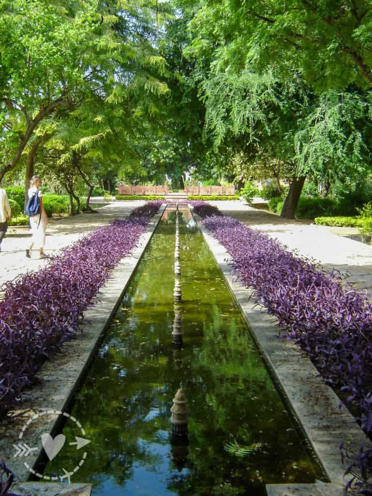 3 settimane in giro per l'India del nord con autista