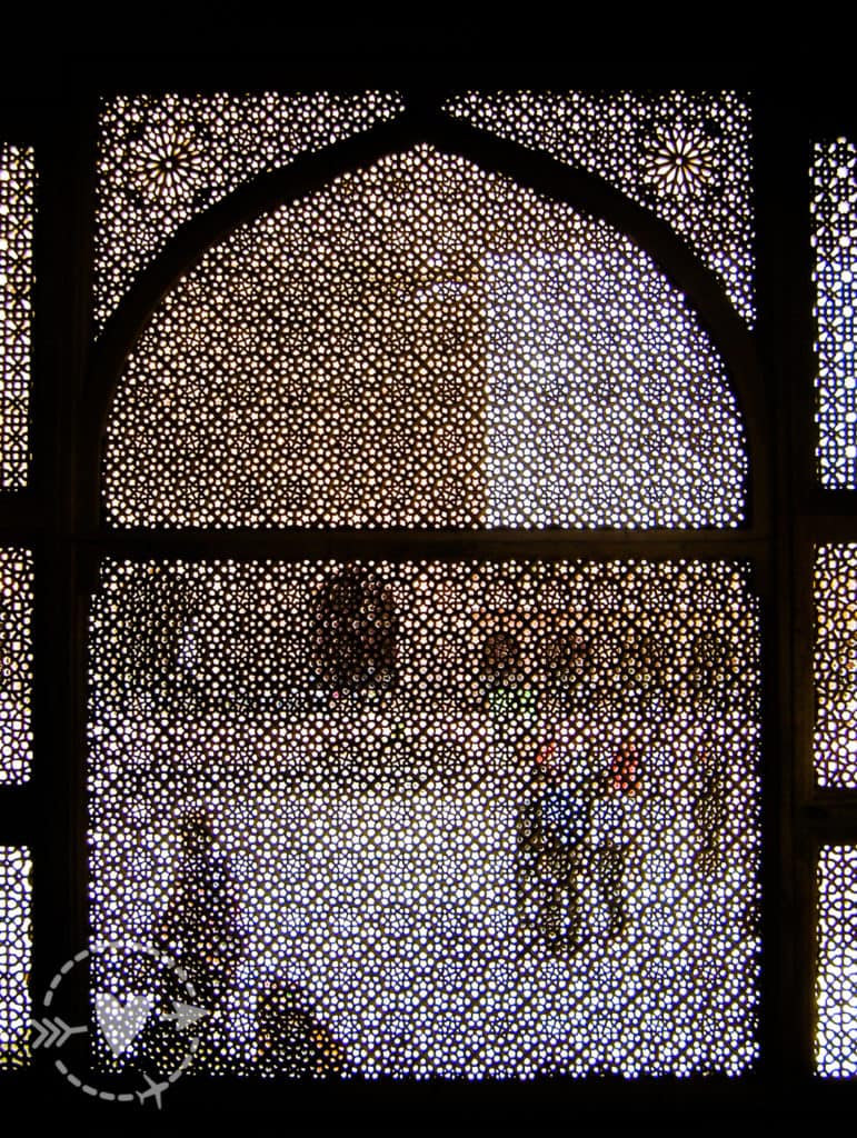 3 settimane in giro per l'India del nord con autista