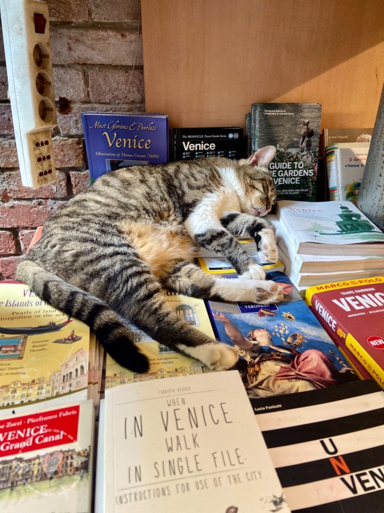 Weekend a Venezia e Burano con bambini: cosa vedere