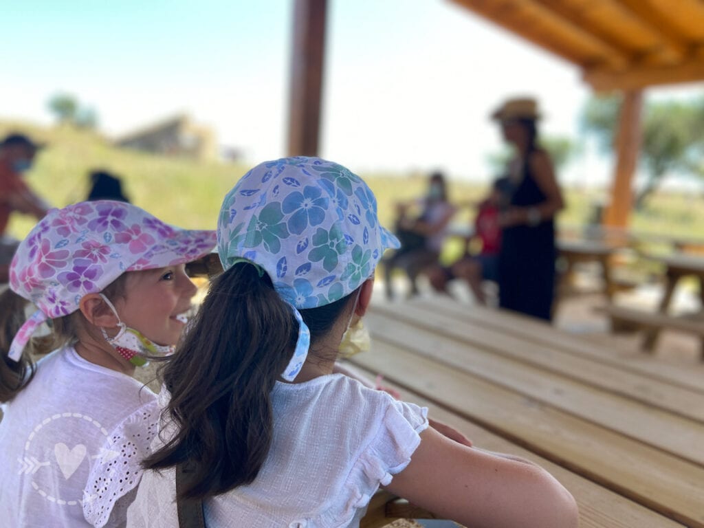 Una giornata alla Necropoli di Tarquinia per conoscere gli etruschi.