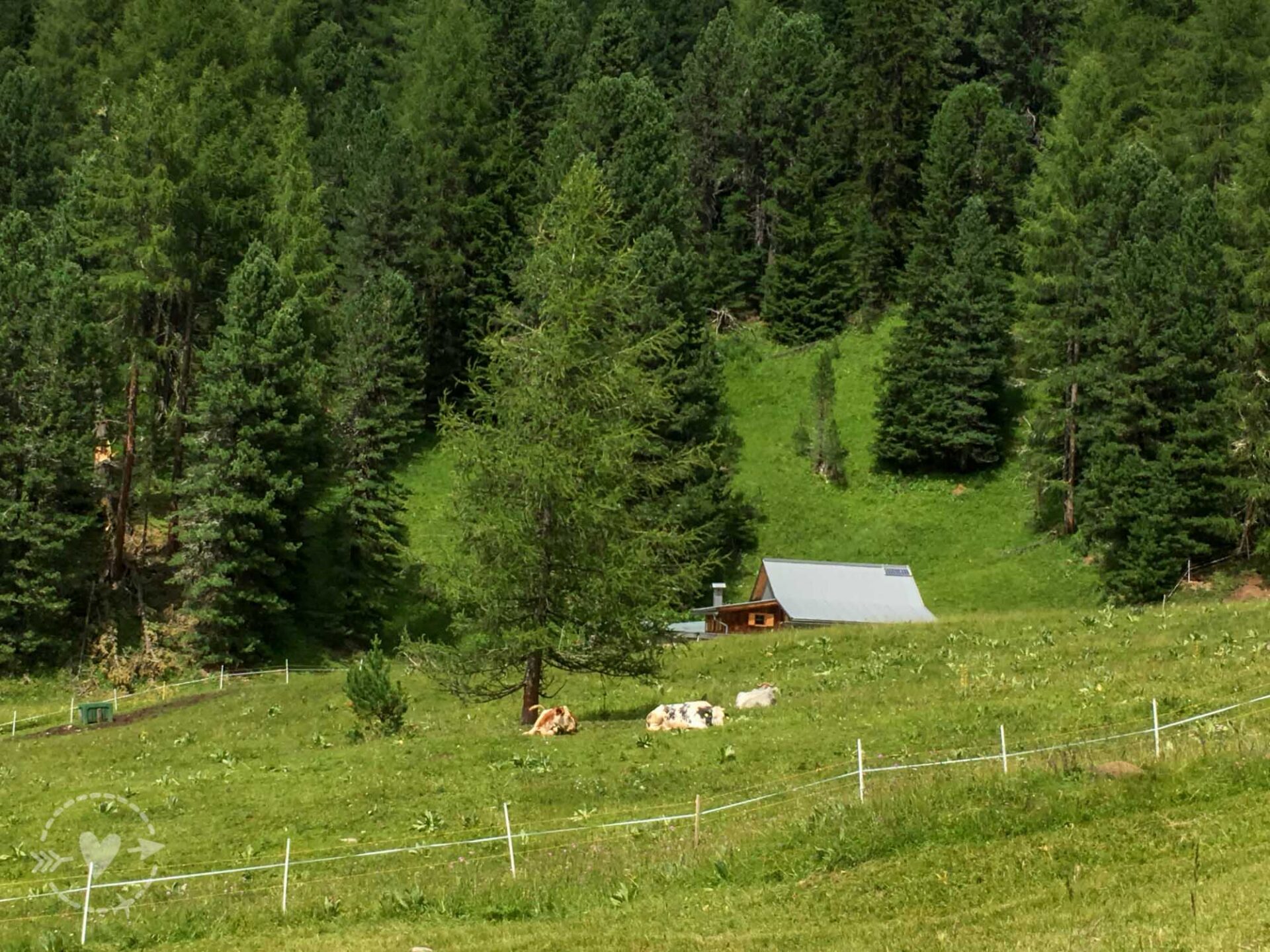 Weekend estivo Dolomiti 14-16 giugno 43 Weekend estivo Dolomiti 14-16 giugno