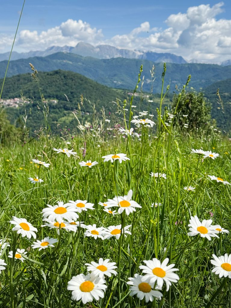 Friuli Venezia Giulia in 3 giorni: itinerario dalla montagna al mare 6 Friuli Venezia Giulia in 3 giorni: itinerario dalla montagna al mare